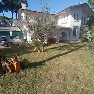 Pineta Milano Marittima